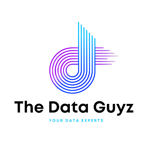 The Data Guyz : Your Data Experts